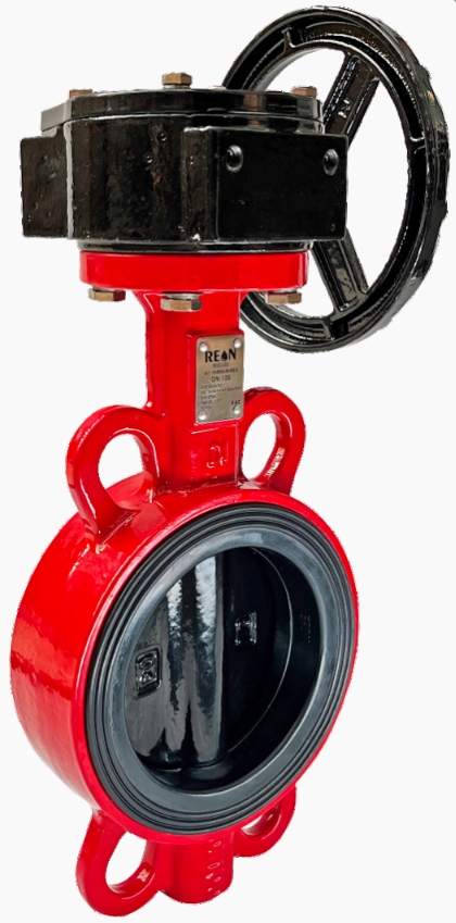 REON RSV83RED DN80 Затворы