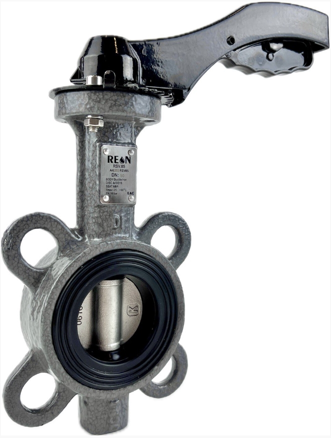 REON RSV85 DN100 Затворы