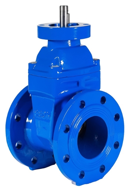 REON RSV01 DN250 Фланцы #3