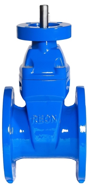 REON RSV01 DN250 Фланцы #2