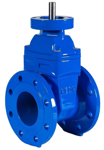REON RSV01 DN250 Фланцы #1