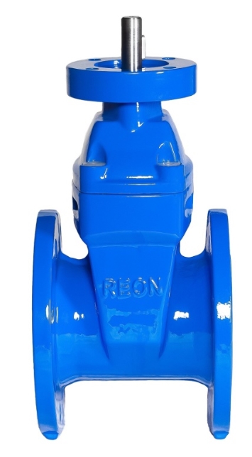 REON RSV02 DN100 Фланцы #2