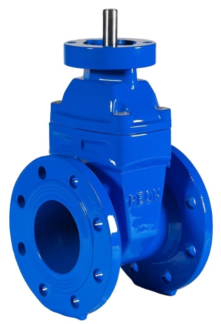 REON RSV02 DN100 Фланцы #1