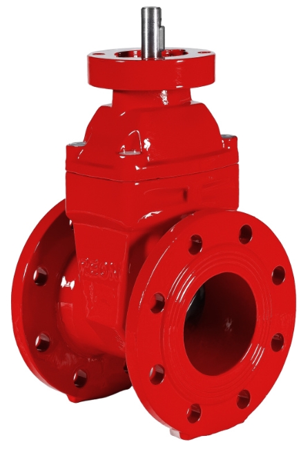 REON RSV02RED DN80 Фланцы #3