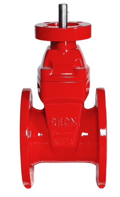 REON RSV02RED DN80 Фланцы #2