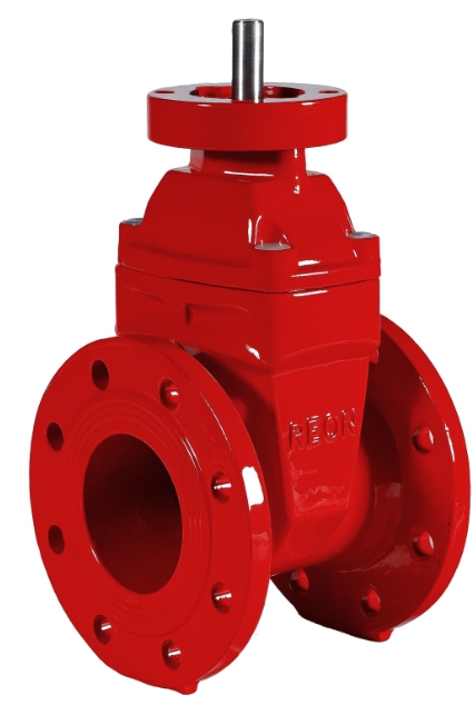 REON RSV02RED DN80 Фланцы #1
