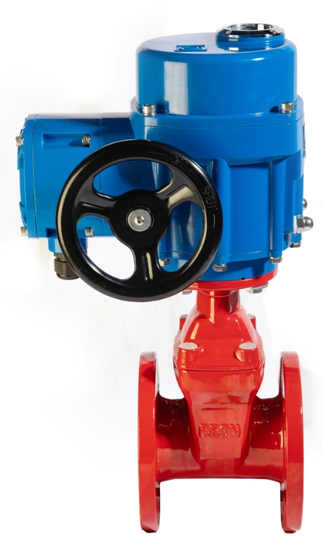 REON RSV61RED DN80 Электроприводы #1