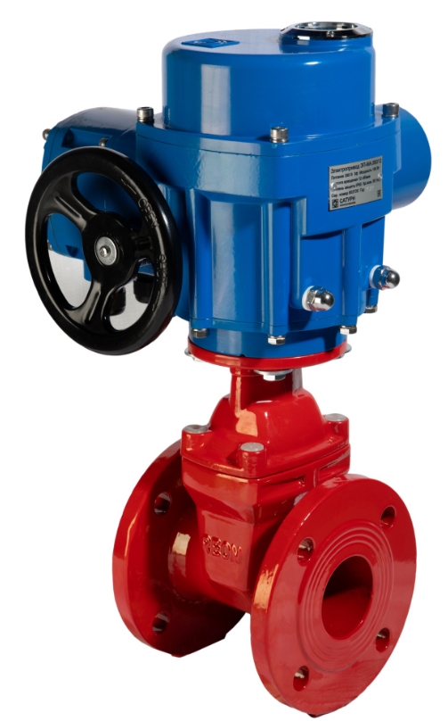 REON RSV62RED DN150 Задвижки #2