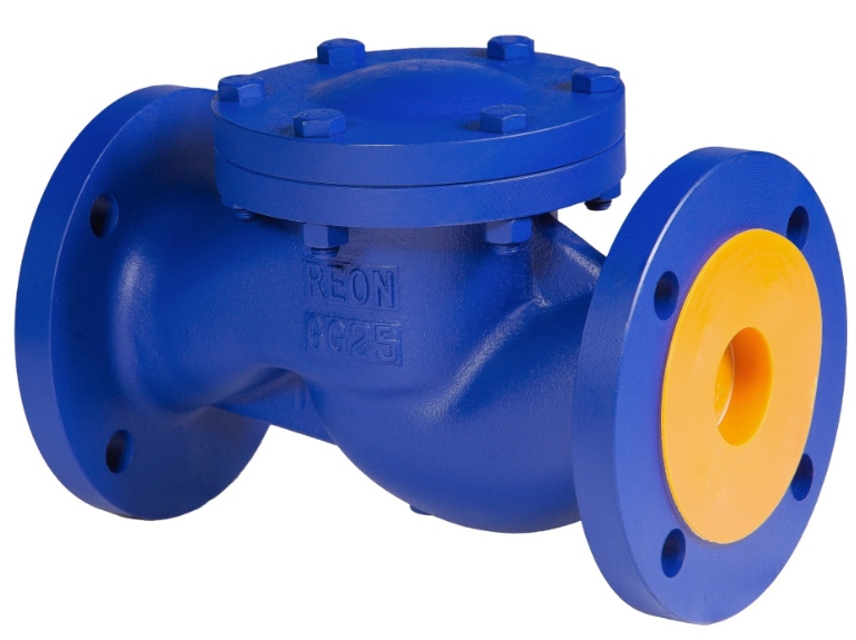 REON RSV33 DN150 Клапаны / вентили #2